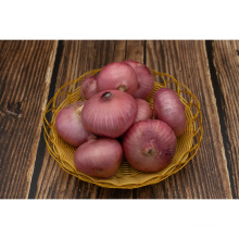 Best Quality 5-7cm Red Onion and Yellow Onion